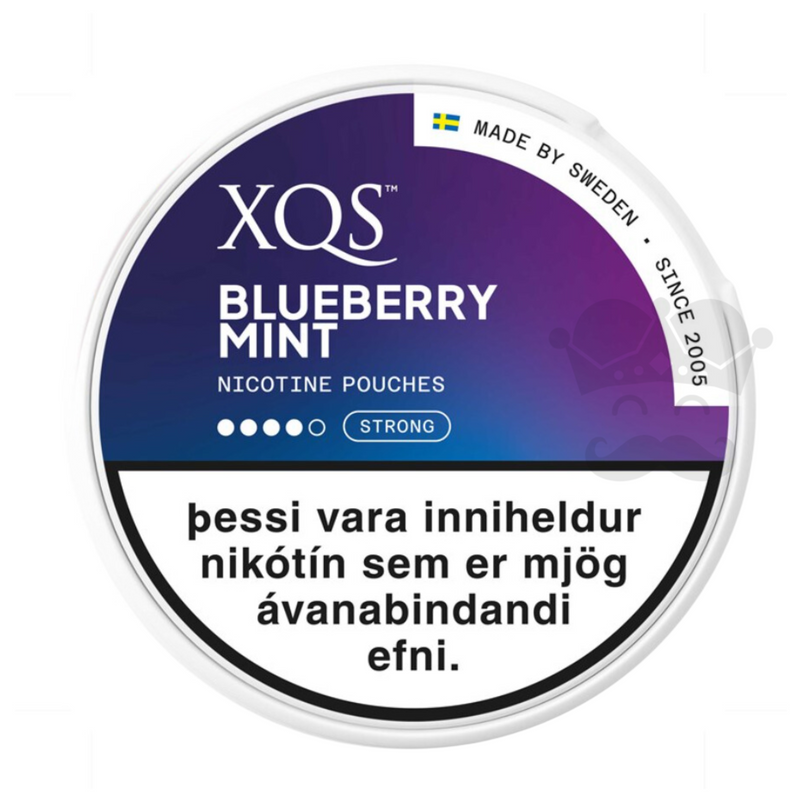 XQS BLUEBERRY MINT SLIM STRONG NICOTINE POUCHES